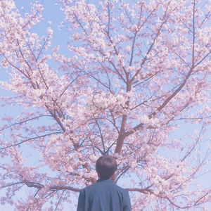 亚洲情综合五月天
